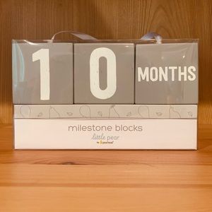 Little Pear Wooden Milestone Blocks in Gray